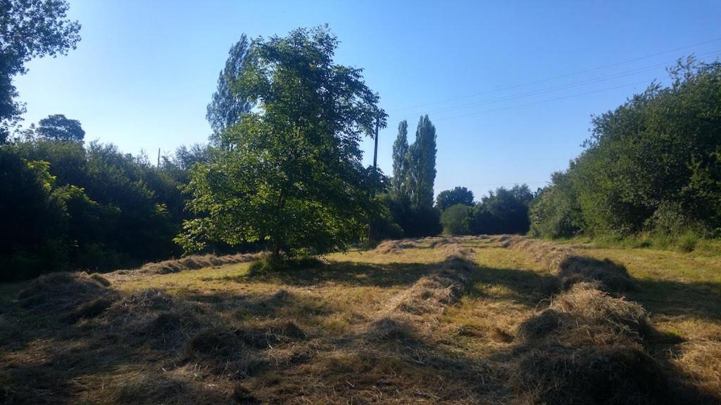 Saint-Mars-sur-la-Futaie L'Angeberdiere المظهر الخارجي الصورة